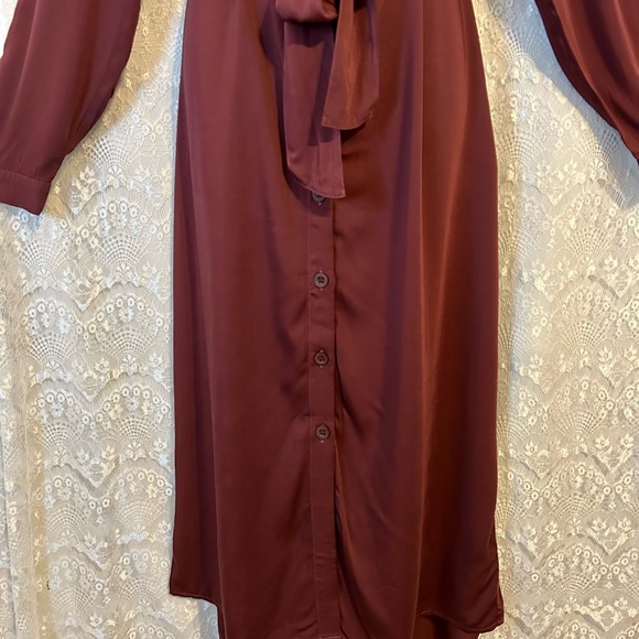 NWT Side Stitch Los Angeles, Burgundy, Button Down Shirt Dress- XS - Picture 4 of 8